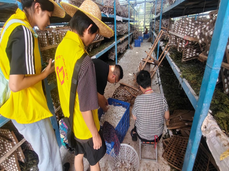 poxf_1783584014945096338.jpg 图片5.jpg